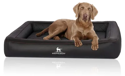 Immagine prodotto di Knuffelwuff Letto ortopedico per cani in Pelle finta trapuntata al laser Hampstead 155 x 125 cm Nero