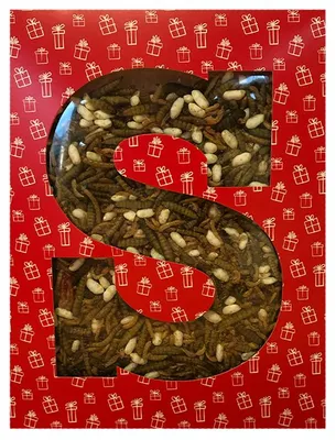 Productafbeelding van Sint Letterdoosje Insectenmix voor Reptielen Het Sinterklaaskado