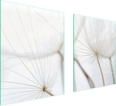 Image de Plaque De Protection Des Vitres Pour Herd 85X52 Fleurs