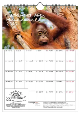 Produktbild von Tierkinder Affen Planer DIN A4 Kalender für 2027 - Geschenkset Inhalt: 1x Kalender, 1x Weihnachtsanhänger (insgesamt 2 Teile)