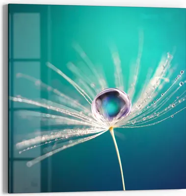 Produktbild von DEQORI Glasbild Echtglas 30x30 cm 'Inszenierte Wasserperle' Wandbild Bild modern Deko
