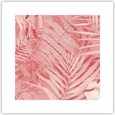 Produktbild von Poster - Poster ohne Rahmen - Rosa Blätter Palmen - 30x30 cm - Wand Bild - Wanddeko - Wandbilder - Kunstposter - Wandposter - Bilder - Kunstdruck - Wanddekoration - Wandbild - P2XAC30x30-4745