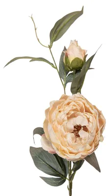 Produktbild von Clayre & Eef Kunstblume 83 cm Beige Kunststoff