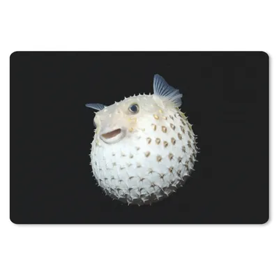 Produktbild von MuchoWow® Mauspad Mousepad Fische - Meerestiere - Porträt 27x18 cm - Mousepads - Maus Mat - Pad - Mausunterlage - Büroartikel - Desk Matten
