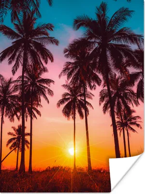 Produktbild von MuchoWow® Poster Palme - Sonnenuntergang - Horizont - Strand - Orange - Rosa 120x160 cm - Wandbilder