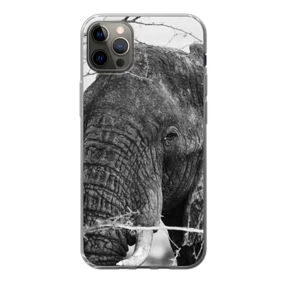Produktbild von MuchoWow® Handyhülle Schutzhülle Hülle für iPhone 12 Pro Max Elefant - Tiere - Äste - Natur - Schwarz und weiß Silikon Softcase Handy Hülle - Hartschale