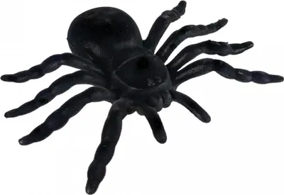 Produktbild von Riesige Spinne als Deko 16cm