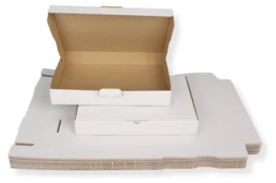 Produktbild von Maxibriefkarton DIN A4 320 x 225 x 50 mm, weiß 25 Stück