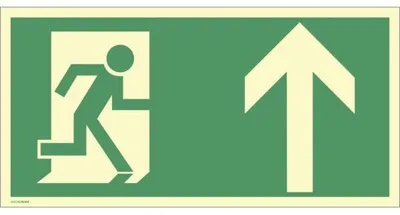 Produktbild von Dreifke® Schild Rettungsweg geradeaus, Kunststoff, langnachleuchtend, 160-mcd...