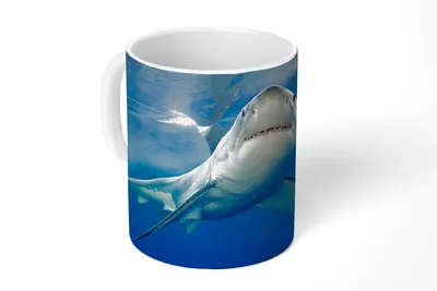 Produktbild von KitchenYeah® Tasse Kaffeetasse Kaffeebecher 350 ml Weißer Hai Teetasse - Fototasse - Becher - Keramikbecher - Teebecher - Kaffeetasse - Bürotasse