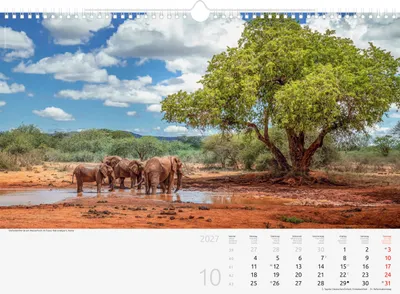 Produktbild von BRUNNEN Bildkalender 2027 „Reise um die Welt“ | 440×310 mm