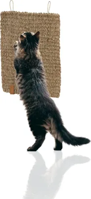 Produktbild von Rohrschneider Kratzmatte Katze handgeflochten aus Naturmaterial Seegras | Kratzbrett zum Schutz von Sofa, Teppich und anderen Möbeln | Katzen Zubehör für Wand und Fußboden | einzeln und als 2er Set, Größe:1 Stück