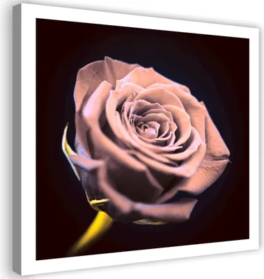 Image de Tableau sur toile rose dans le noir 60 x 60 cm Feeby tableau mural rose prêt à accrocher