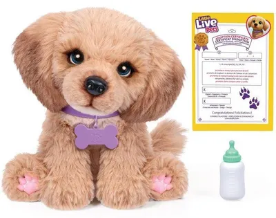Obrázek produktu pro Interaktivní plyšová hračka Chiot Mini Puppy, řada LITTLE LIVE PETS, s více než 50 zvuky a realistickými reakcemi