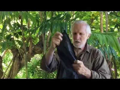 Produktbild von Hennessy Hammocks Expedition Classic - Outdoor Hängematte inklusive Moskitonetz und Tarp Hängematte