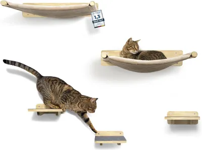 Produktbild von Katzen-Kletterwand Set, Massivholz, 5-teilig, mit Wandkratzbaum für die Wandmontage