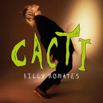Image de Cactus
