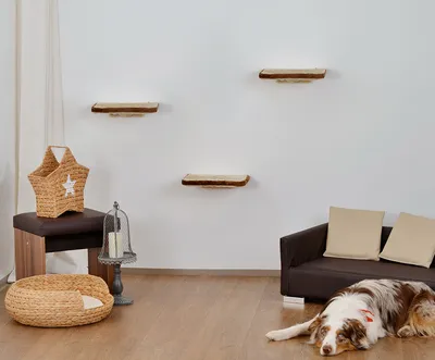 Produktbild von animal-design Katzen Kletterwand 3-teilig WALL Katzenmöbel platzsparende stabile Katzentreppe für die Wand aus Plüsch beige/braun