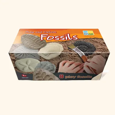 Produktbild von Fossilienabdrücke