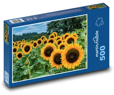 Obrázok produktu pre martinpuzzle – Puzzle 500 – Slnecnice