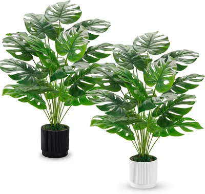 Produktbild von Kunstpflanze Monstera 71 cm, 2 Stück, für Innen und Außen