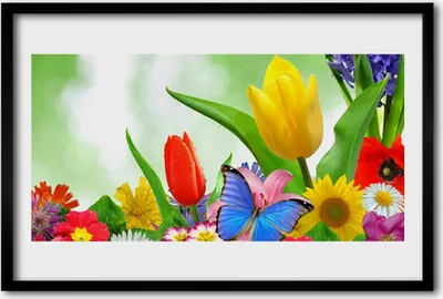 Produktbild von Bild 60x40 MDF-Rahmen Wandkunst Schmetterlings-Blumen-Natur
