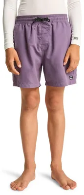 Obrázok produktu pre Plavky Billabong All Day Slice, chlapčenské, fialové