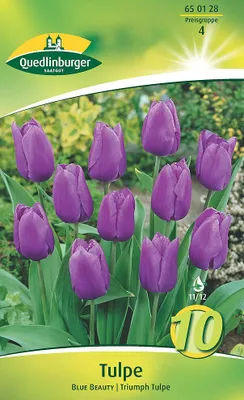 Produktbild von Tulpe Triumph Blue Beauty (10 Stück) | Tulpenzwiebeln von Quedlinburger