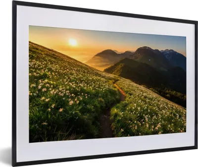 Produktbild von MuchoWow® Gerahmtes Poster Blumen - Sonne - Berge 60x40 cm - Poster mit Schwarzem Bilderrahmen Wandposter Rahmen Foto Bilder - Schlafzimmer - Plakat in Rahmen - Drucken