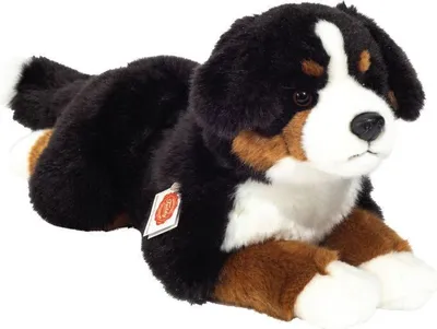 Produktbild von Berner Sennehund liegend, ca. 40cm