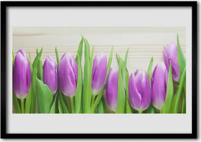 Produktbild von Bild 70x50 MDF-Rahmen Wandkunst Tulpen Blumen Natur