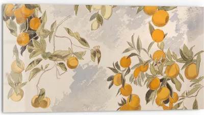 Produktbild von DEQORI Küchenrückwand Glas 80x40 cm 'Orangenpracht' Spritzschutz Bad Rückwand Küche
