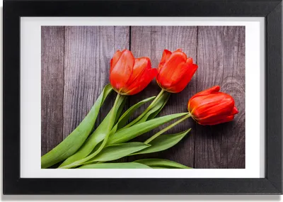 Produktbild von Bild 30x20 MDF-Rahmen, Wandkunst rote Tulpen