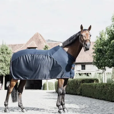 Produktbild von Kentucky Horsewear Fliegen-Kombi Abschwitzdecke Navy 155