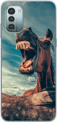Produktbild von König Design Hülle kompatibel mit Nokia G11 Kunststoff Soft Handyhülle - Handy Case Lustiges Pferd