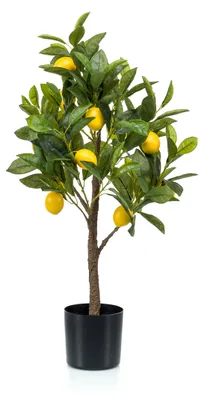 Produktbild von künstlicher Zitronenbaum im schwarzen Topf H. 72cm Emerald Topfpflanze