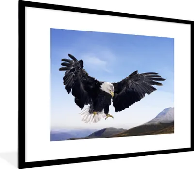Produktbild von MuchoWow® Gerahmtes Poster Ein amerikanischer Weißkopfseeadler will landen 80x60 cm - Poster mit Schwarzem Bilderrahmen Wandposter Rahmen Foto Bilder - Schlafzimmer-Dekorationen - Fotoposter