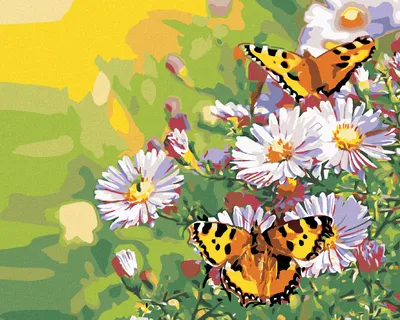 Produktbild von Zuty - Malen nach Zahlen - SCHMETTERLINGE AUF MARGERITEN, 40x50 cm, ohne Keilrahmen