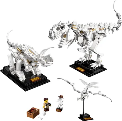 Produktbild von LEGO 21320 Ideas Dinosaurier-Fossilien