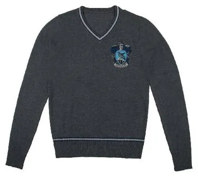 Immagine prodotto di Maglia Harry Potter Ravenclaw taglia XS