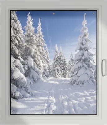 Produktbild von Wallario Lichtschutzbild, Dekorativer Sichtschutz Sonnenschutz 96 x 115 cm mit Motiv: Wanderweg im Schnee - Verdunklung ohne Bohren