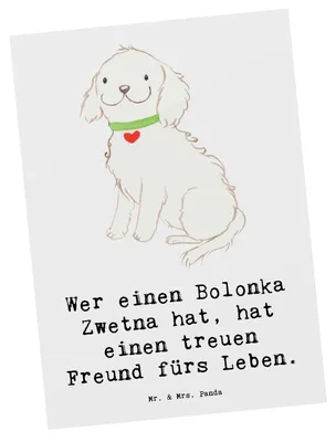 Produktbild von Mr. & Mrs. Panda Postkarte Bolonka Zwetna - Weiß - Geschenk, Ansichtskarten, Postkarten, Haustierbindung, bildkarte, Hunderassen Pflege, Hunderasse, Charakter, Fotokarte
