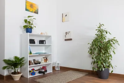 Produktbild von Bücherregal massiv Holz