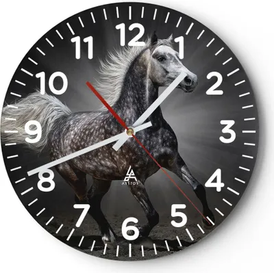 Produktbild von Wanduhr - Rund - Glasuhr - Pferd Tier Natur - 40x40cm - Schleichendes Uhrwerk - Lautlos - zum Aufhängen bereit - Dekoration Modern - Wanddekoration aus Glas - C4AR40x40-3593