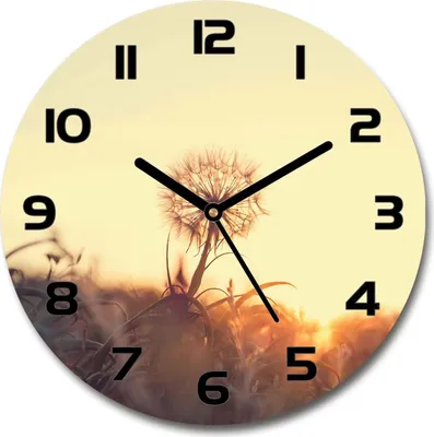 Produktbild von Wanduhr aus Glas 30fi Glasbild Glasuhr Gehärtetes Glas - schwarze-zeiger - Dandelion