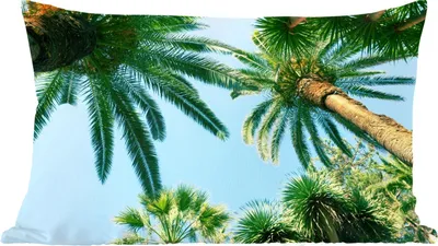 Produktbild von MuchoWow® Zierkissen Sofakissen Wohnzimmer Dekokissen 50x30 cm Palmwedel - Himmel - Sommer - Tropisch - Wohnzimmerdekoration - Polster mit Photo