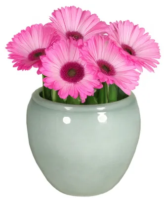 Produktbild von Floran Pflanzentopf - grun - glanzend - Keramik - 14 x 11 cm