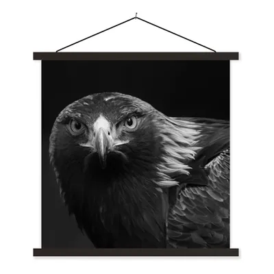 Produktbild von MuchoWow® Textilposter Bussard - Vogel - Tiere - Schwarz - Weiß 120x120 cm mit schwarzem Rahmen - Aufhängungsset
