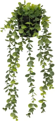 Produktbild von Künstlicher eukalyptus im topf "merly" grün h51cm  - Atmosphera créateur d'intérieur