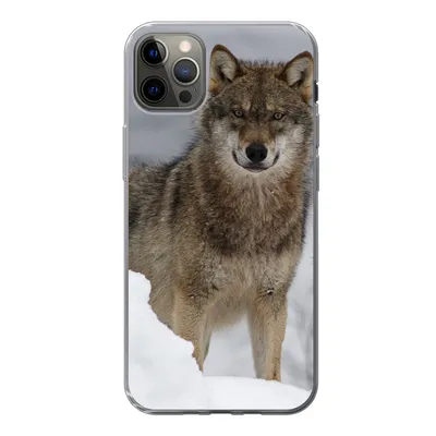 Produktbild von MuchoWow® Handyhülle Schutzhülle Hülle für iPhone 13 Pro Max Wolf - Schnee - Tiere Silikon Softcase Handy Hülle - Mobiltelefon